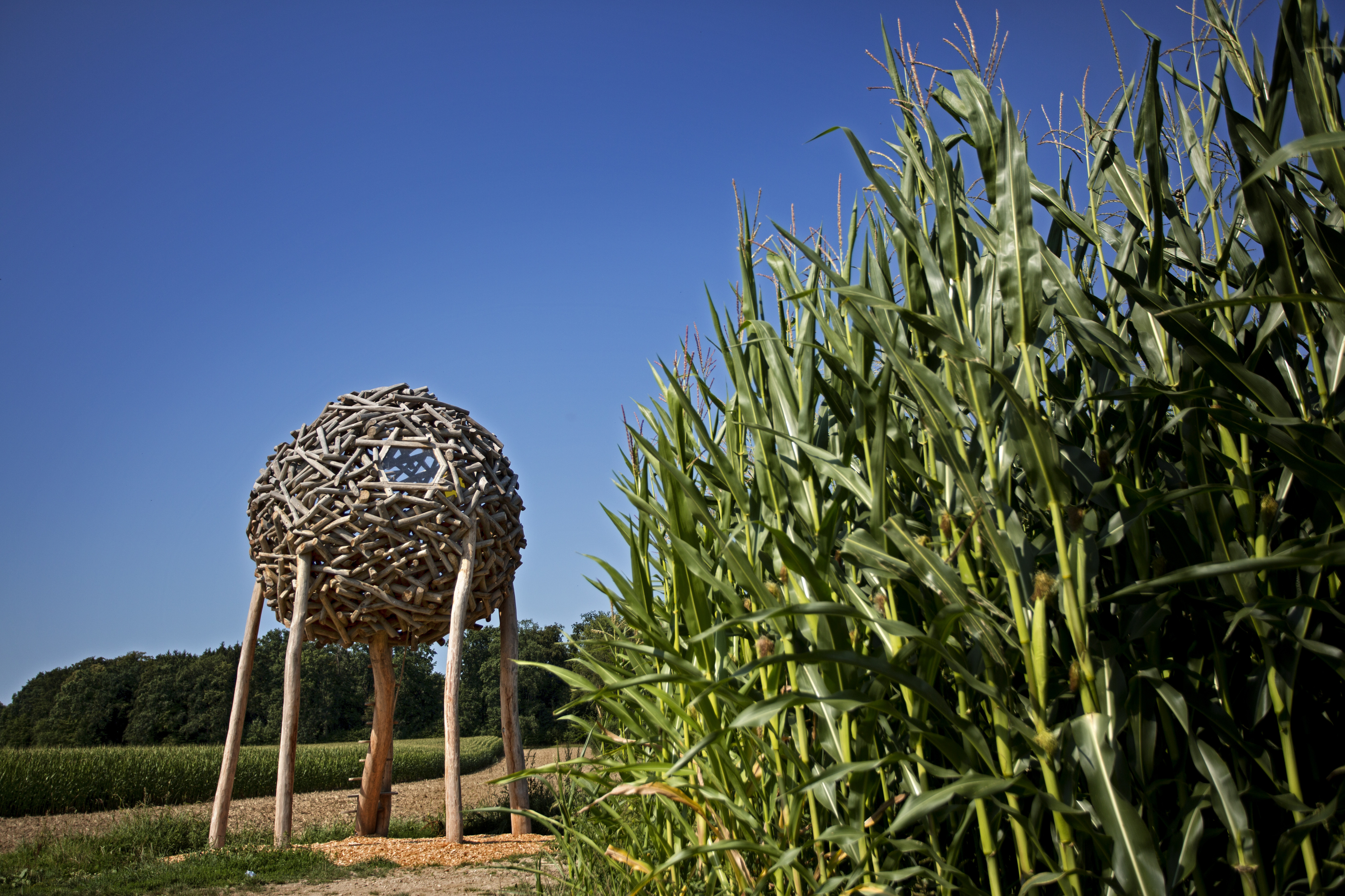 Kugelnest