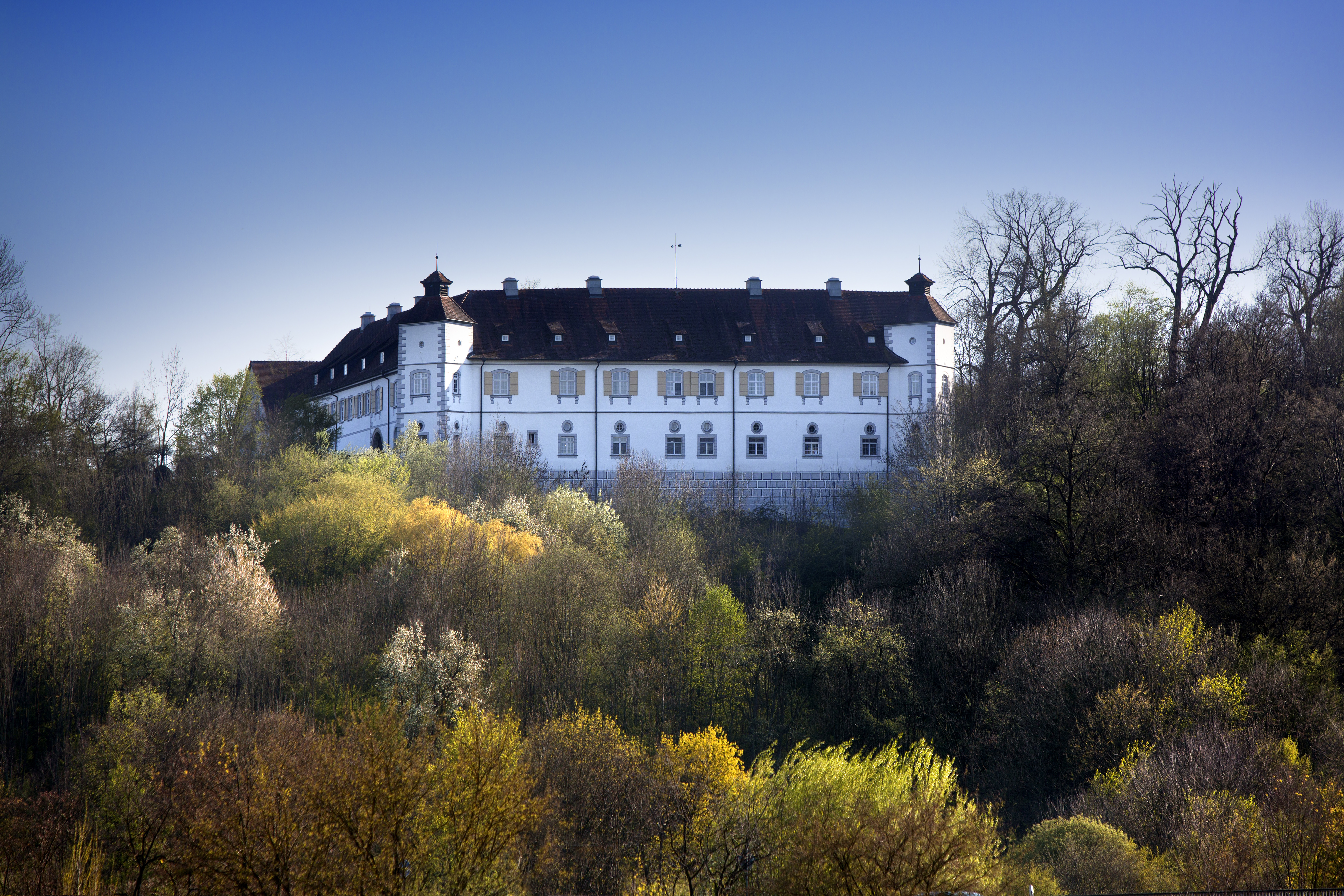 Unter den Eschen