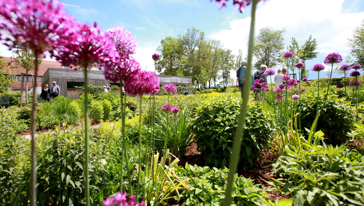 Blütenpracht im Stauden- und Kräutergarten neben dem Schlossgarten.